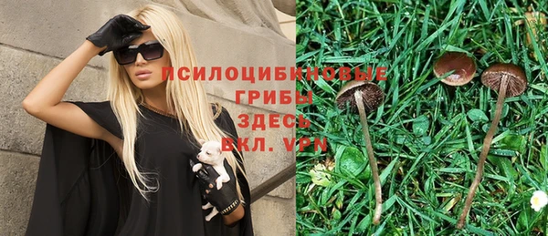 экстази Нягань