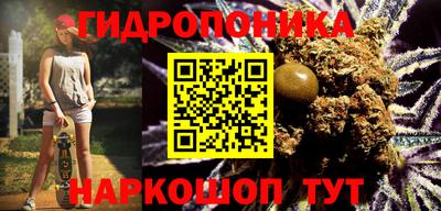 прущие грибы Балашиха