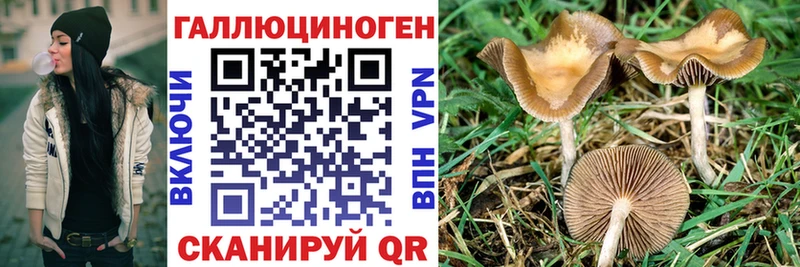 Галлюциногенные грибы Psilocybine cubensis  где можно купить   Кимовск 
