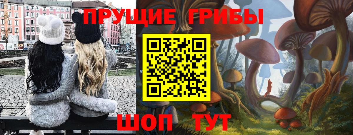 Галлюциногенные грибы MAGIC MUSHROOMS  Кимовск  Псилоцибиновые грибы GOLDEN TEACHER 