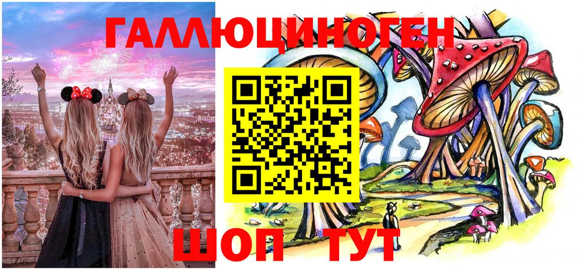 А ПВП Кимовск